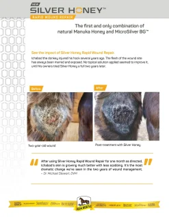 ANIMAL HEALTH INT Absorbine® Silver Honey® Rapid Skin Relief Medicated Shampoo- First Aid Supplies