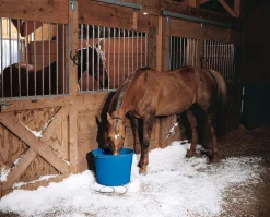ANIMAL HEALTH INT API® 20-Quart Heated Flatback Bucket- Feed & Water Buckets