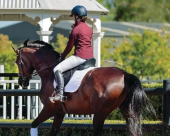 SADDLERY BRANDS INTL Arena Dressage Saddle- English Saddles