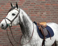 BACK ON TRACK BOT LL Back on Track® All-Purpose Saddle Pad- Close Contact Saddle Pads