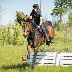 BACK ON TRACK BOT LL Back on Track® Deep Nights Brush Boots- Horse Boots