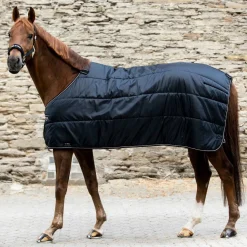 BACK ON TRACK BOT LL Back on Track® Rhyolite 100G Insulated Liner- Blanket Liners