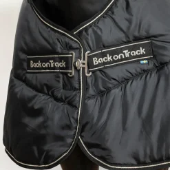 BACK ON TRACK BOT LL Back on Track® Rhyolite 100G Insulated Liner- Blanket Liners