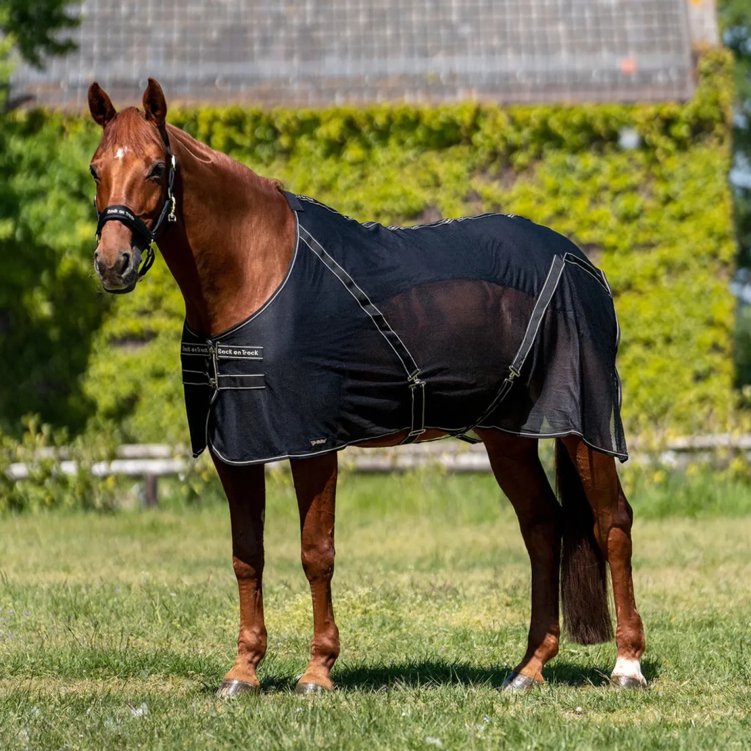 BACK ON TRACK BOT LL Back on Track® Sienna Mesh Cooler with Knitted Lining- Horse Coolers