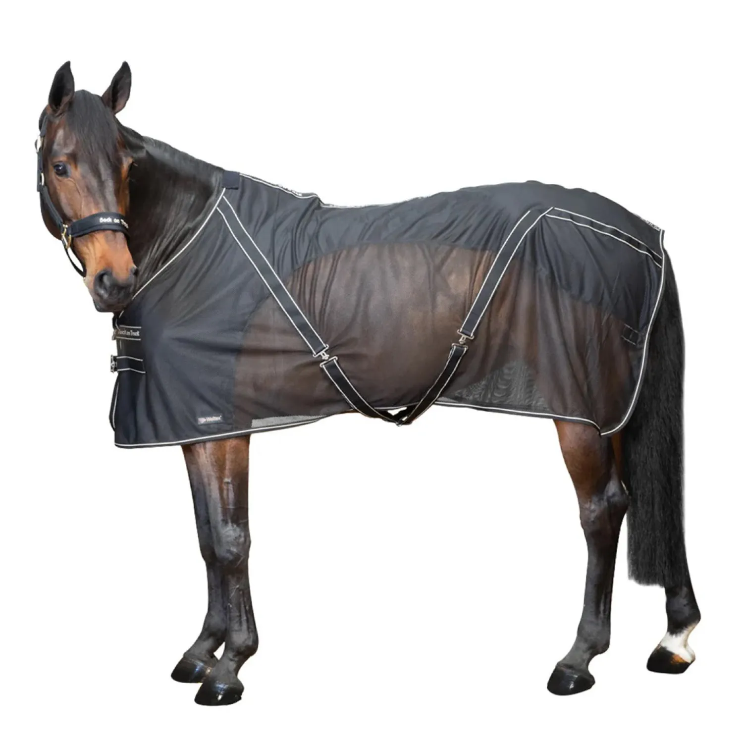 BACK ON TRACK BOT LL Back on Track® Sienna Mesh Cooler with Knitted Lining- Horse Coolers