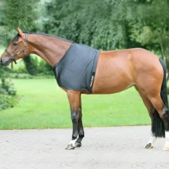 BACK ON TRACK BOT LL Back on Track® Therapeutic Equine Shoulder Guard with Pads- Therapy|Hoof & Hock Boots