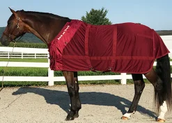 BACK ON TRACK BOT LL Back on Track® Therapeutic Mesh Horse Sheet- Stable Sheets