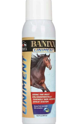 ANIMAL HEALTH INT Banixx® Liniment Spray- Horse Liniments