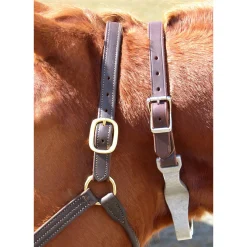 INTREPID INTL Best Friend® Hinged Cribbing Strap- Cribbing & Muzzles