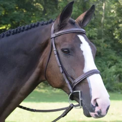 KL SELECT Black Oak Spruce Hunter Bridle- English Bridles