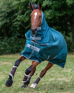 TOKLAT ORIGINALS Bucas Atlantic Combi Neck Cover - 300 Grams- Turnout Blankets