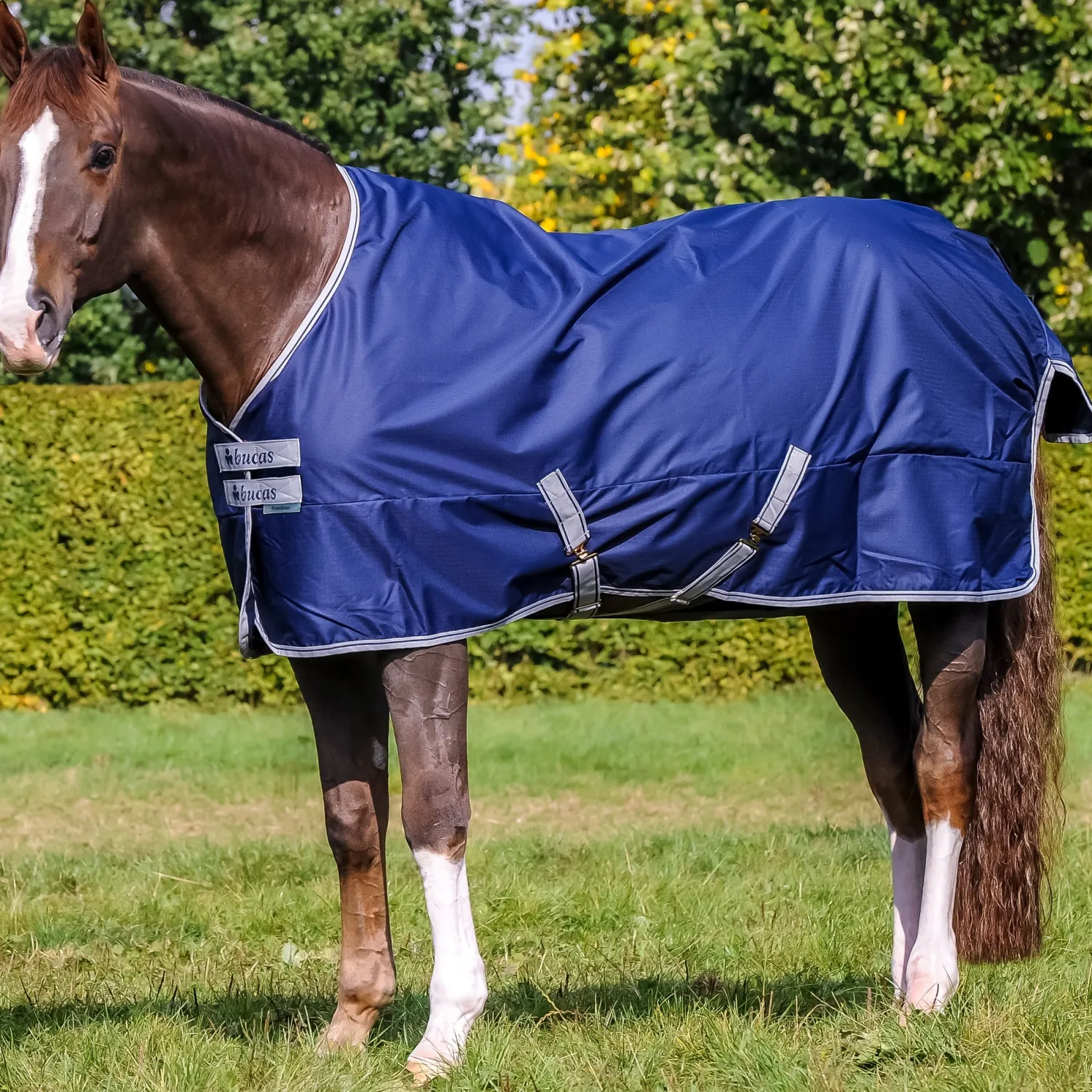 TOKLAT ORIGINALS Bucas Freedom Light Turnout- Turnout Blankets