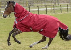 TOKLAT ORIGINALS Bucas Irish Extra Classic Heavyweight Turnout Blanket- Turnout Blankets