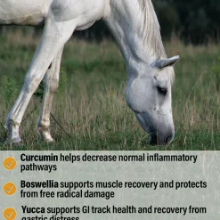 ANIMAL HEALTH INT Bute-Less® Performance Comfort & Recovery Pellets- Horse Supplements