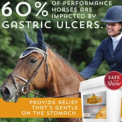 ANIMAL HEALTH INT Bute-Less® Performance Comfort & Recovery Pellets- Horse Supplements