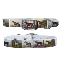 SWYFT PRINTS/C4 C4 Equine Print Dog Collar- Collars & Leashes