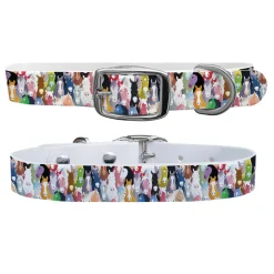 SWYFT PRINTS/C4 C4 Equine Print Dog Collar- Collars & Leashes