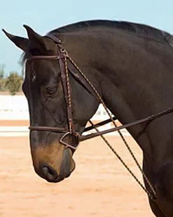 ERS Camelot™ Chambon- Lunging & Training Equipment
