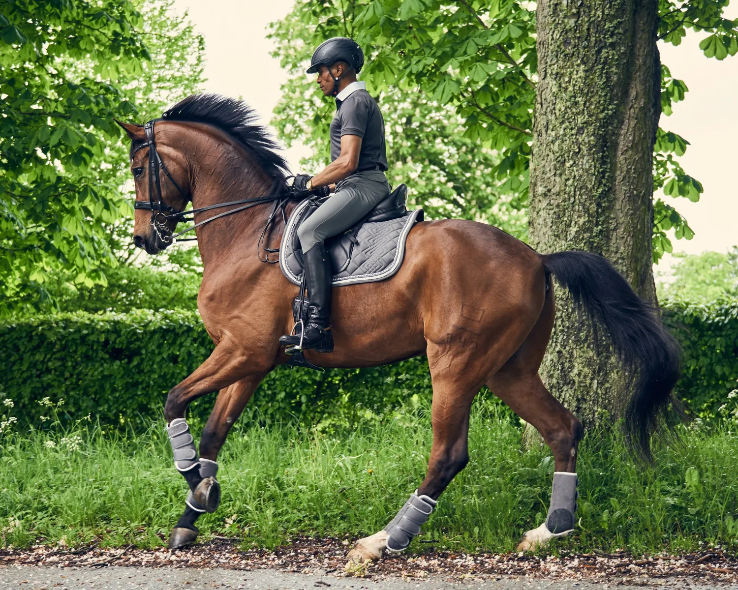 ERS Catago® Diamond Dressage Pad- Dressage Pads|Close Contact Saddle Pads