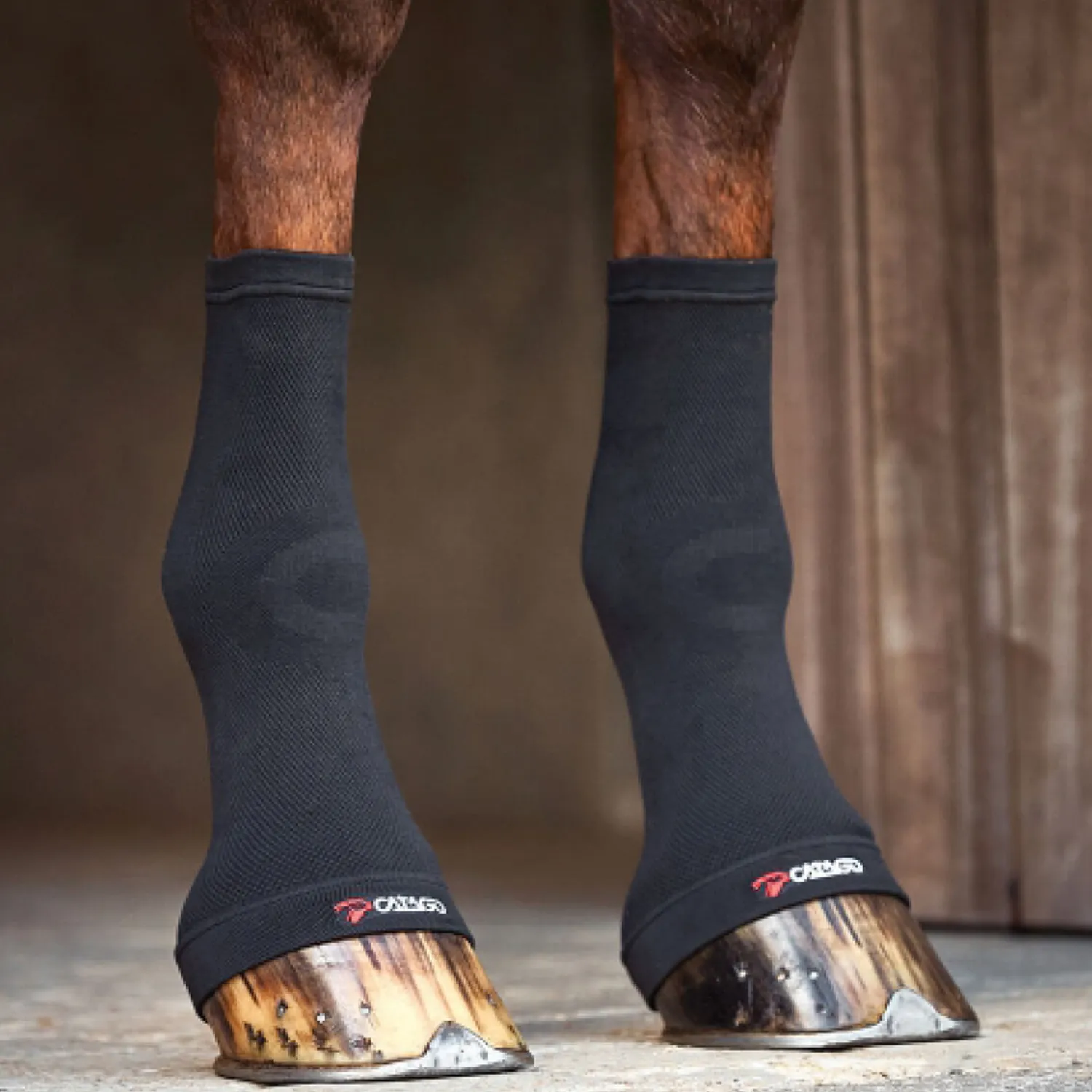 ERS Catago® FIR-Tech Fetlock Socks- Therapy|Hoof & Hock Boots