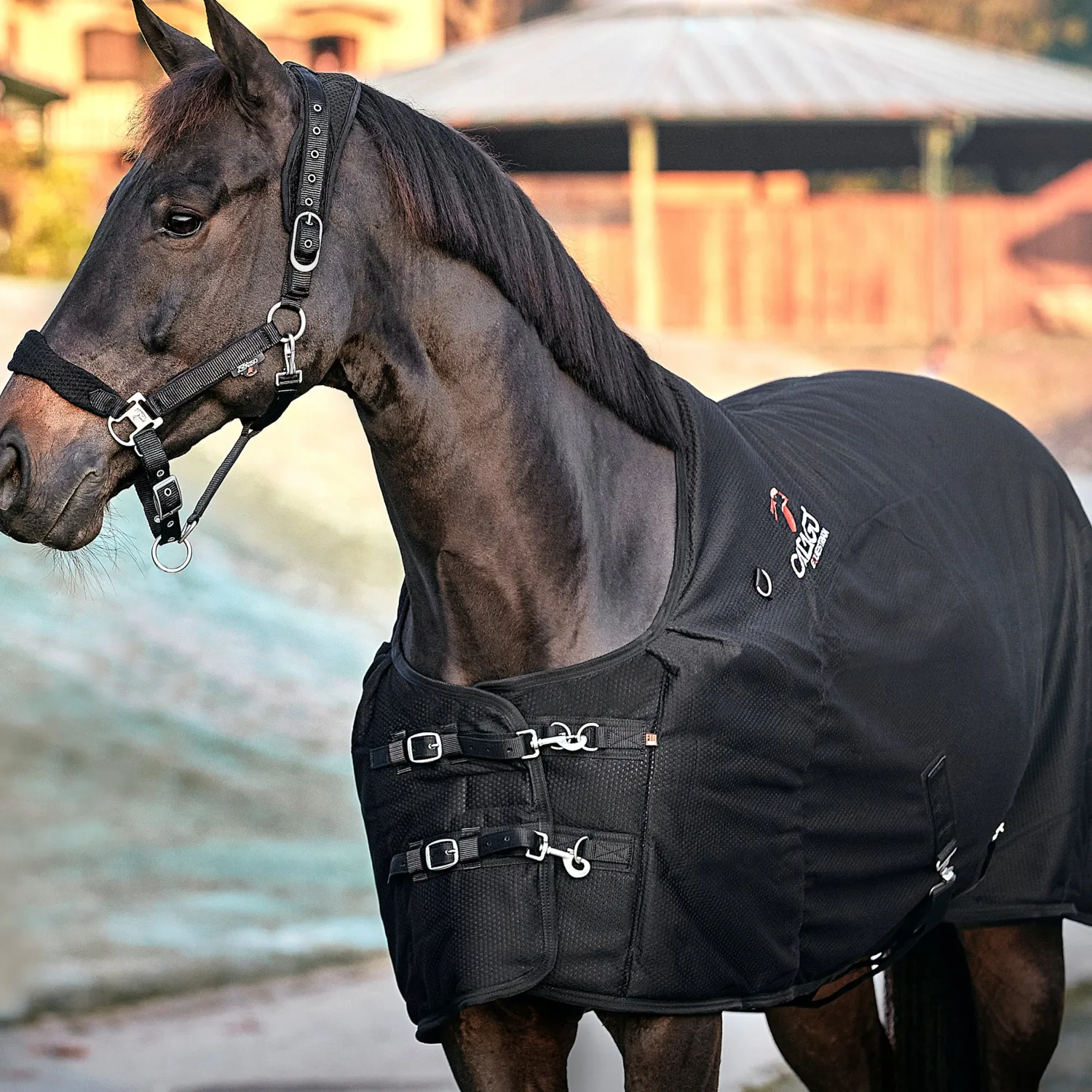 ERS Catago® FIR-Tech Rug- Therapy|Hoof & Hock Boots