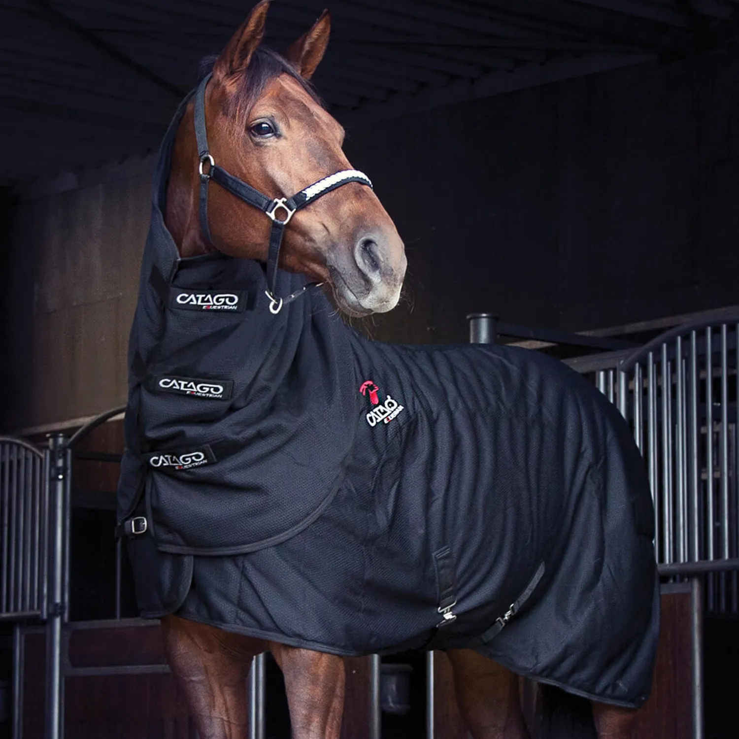 ERS Catago® FIR-Tech Rug- Therapy|Hoof & Hock Boots