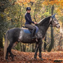 CHARLES OWEN AYR8® Plus Helmet- Riding Helmets|Riding Helmets