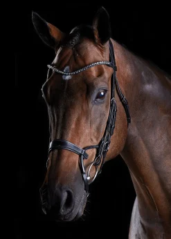 WEATHERBEETA Collegiate® ComFiTec™ Crystal Bridle- English Bridles