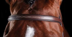 WEATHERBEETA Collegiate® ComFiTec™ Fancy-Stitched Bridle- English Bridles