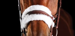 WEATHERBEETA Collegiate® ComFiTec™ Sheepskin Bridle- English Bridles