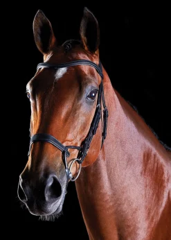 WEATHERBEETA Collegiate® ComFiTec™ Training Bridle- English Bridles