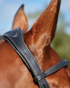WEATHERBEETA Collegiate® ComFiTec™ Training Bridle- English Bridles