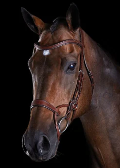 WEATHERBEETA Collegiate® ComFiTec™ Training Bridle- English Bridles