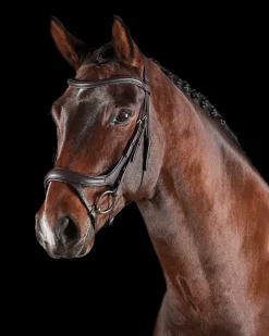 WEATHERBEETA Collegiate® ComFiTec™ Vogue Anatomic Bridle- English Bridles