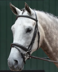 WEATHERBEETA Collegiate® Essential Padded Raised Fancy-Stitched Flash Bridle- English Bridles