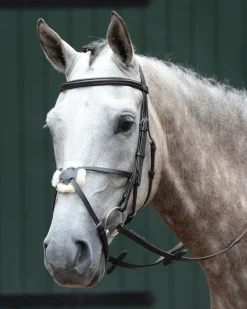 WEATHERBEETA Collegiate® Essential Padded Raised Figure-8 Bridle- English Bridles