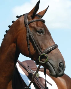 WEATHERBEETA Collegiate® Syntovia+ Padded Raised Caveson Bridle- English Bridles