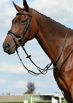 WEATHERBEETA Collegiate® Syntovia+ Plain Flat Running Martingale- Martingales & Breastplates