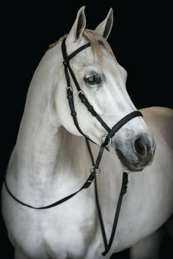 BITLESS BRIDLE Dr. Cook's Beta BitlessBridle™- English Bridles