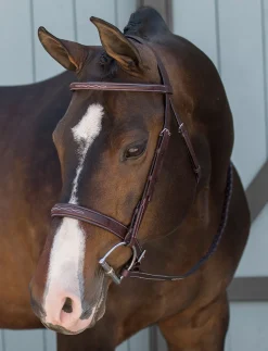 HARMOHN KRAFT DS Classic Derby Bridle- English Bridles