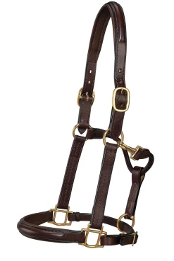 HARMOHN KRAFT DS Classic Plain Raised Padded Halter- Halters