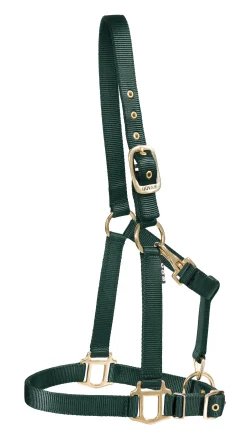 ZEETA INTERNATIONAL DS Heavy Nylon Halter- Halters