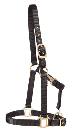 ZEETA INTERNATIONAL DS Heavy Nylon Halter- Halters