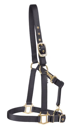 ZEETA INTERNATIONAL DS Heavy Nylon Halter- Halters