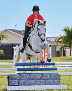 KIRSCH DS Ladies’ Iva Short Sleeve Polo Shirt- Short Sleeve Shirts