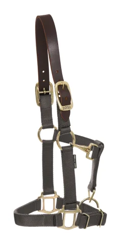 ZEETA INTERNATIONAL DS Heavy Nylon Breakaway Halter- Halters