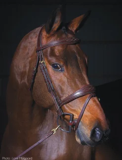 KENTUCKY HORSEWEAR Dy'on® Anatomic Bridle- English Bridles