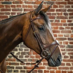 KENTUCKY HORSEWEAR Dy'on® Anatomic Bridle- English Bridles