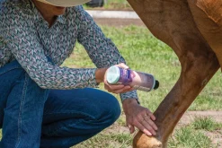 ANIMAL HEALTH INT Equiderma® Skin Lotion- First Aid Supplies