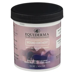 ANIMAL HEALTH INT Equiderma® Wound Ointment- First Aid Supplies